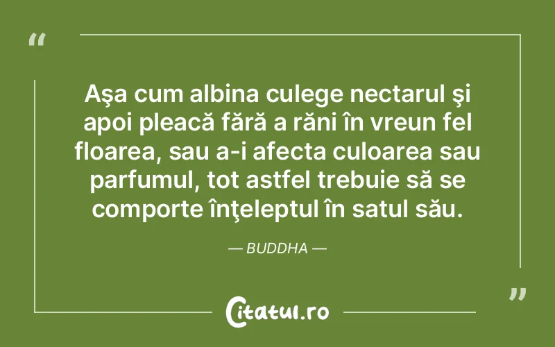 Citat Buddha - citate viata