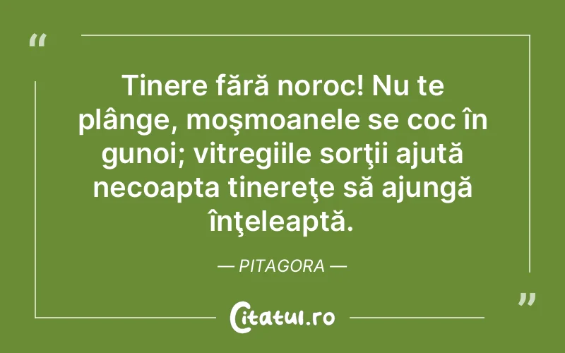 Citat Pitagora - citate viata