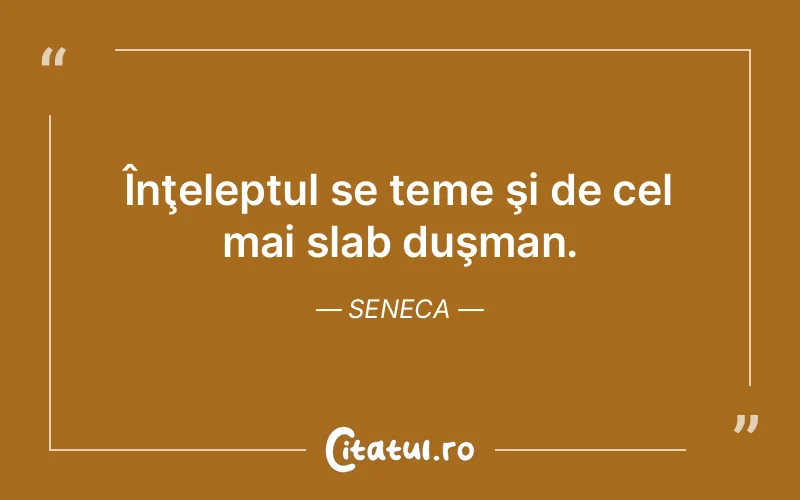 Citat Seneca - citate viata