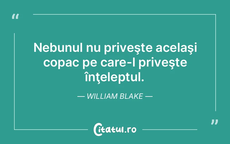 Citat William Blake - citate viata