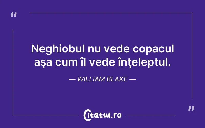Citat William Blake - citate viata