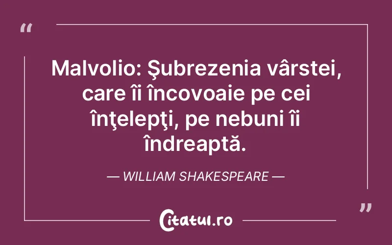 Citat William Shakespeare - citate viata