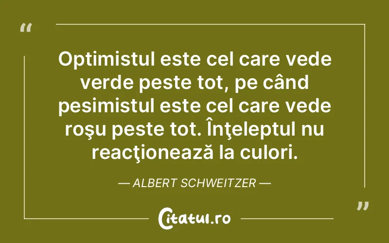 Citat Albert Schweitzer - citate viata