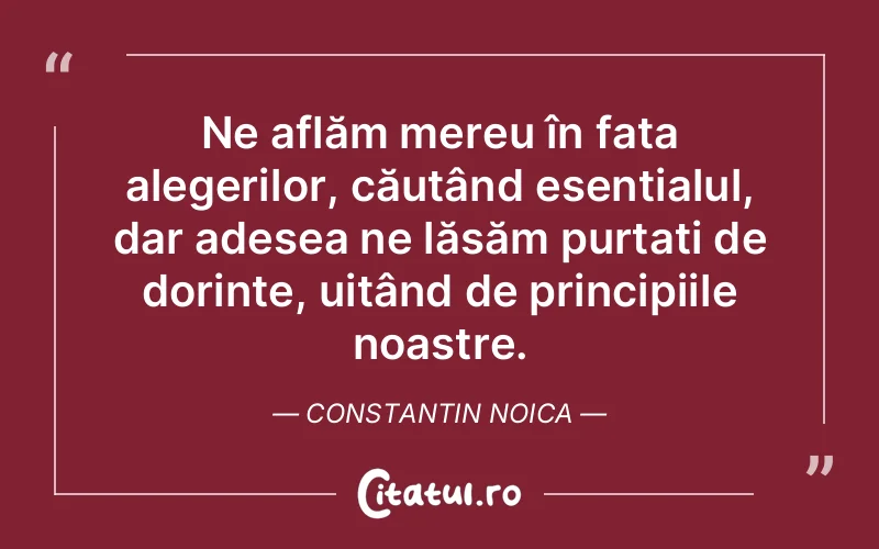 Citat Constantin Noica - citate viata