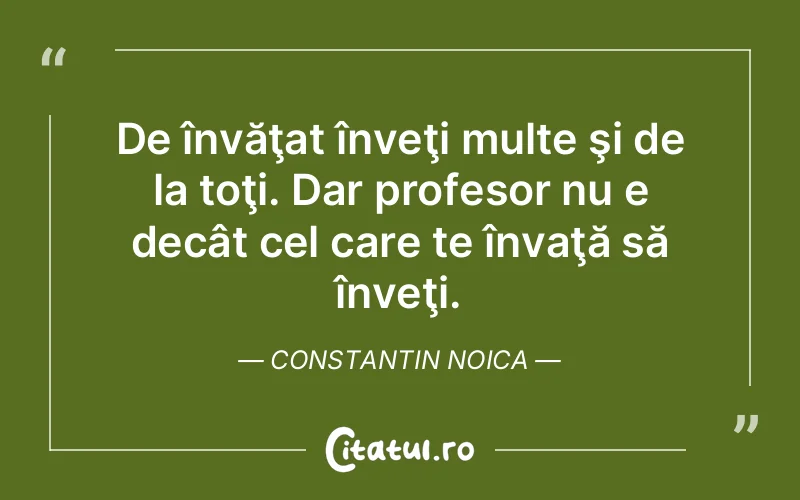 Citat Constantin Noica - citate viata