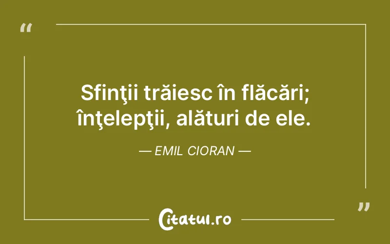 Citat Emil Cioran - citate viata