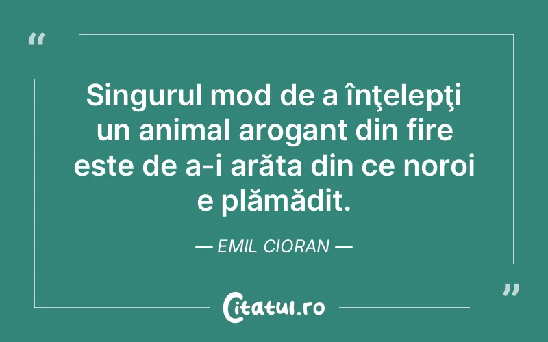Citat Emil Cioran - citate viata