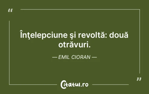 Citat Viață - Citatul.ro