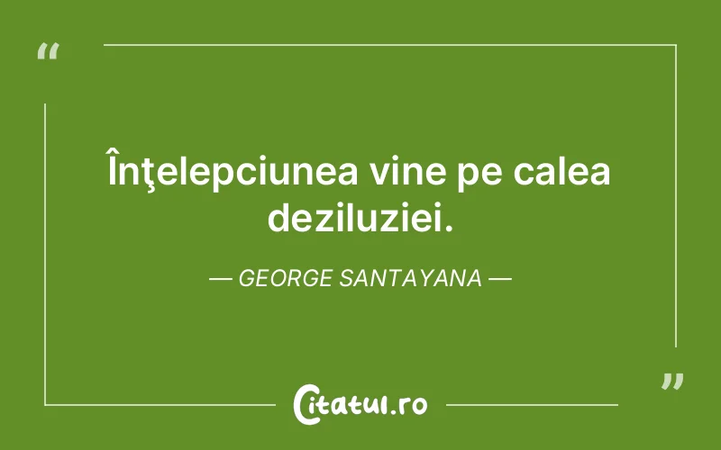 Citat George Santayana - citate viata