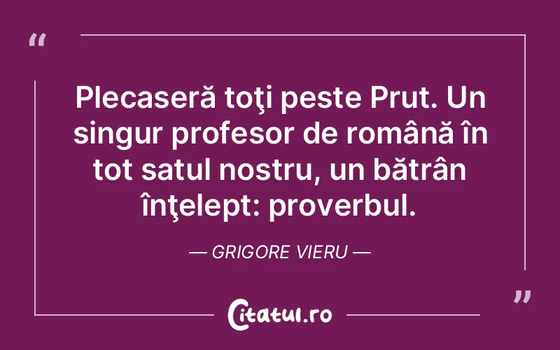 Citat Grigore Vieru - citate viata