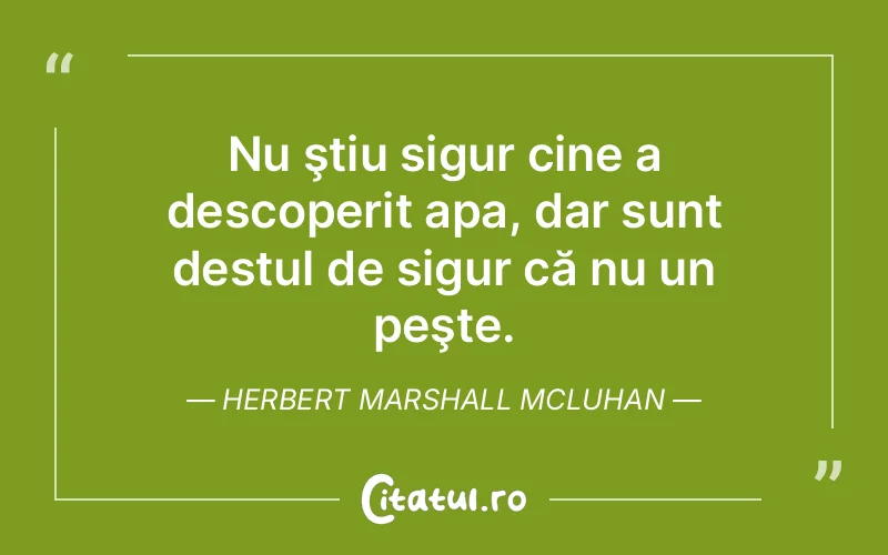 Citat Herbert Marshall Mcluhan - citate viata
