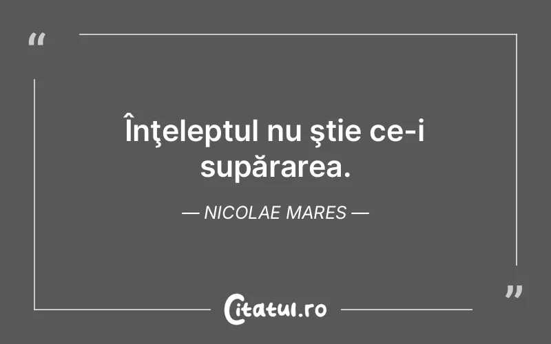 Citat Nicolae Mares - citate viata