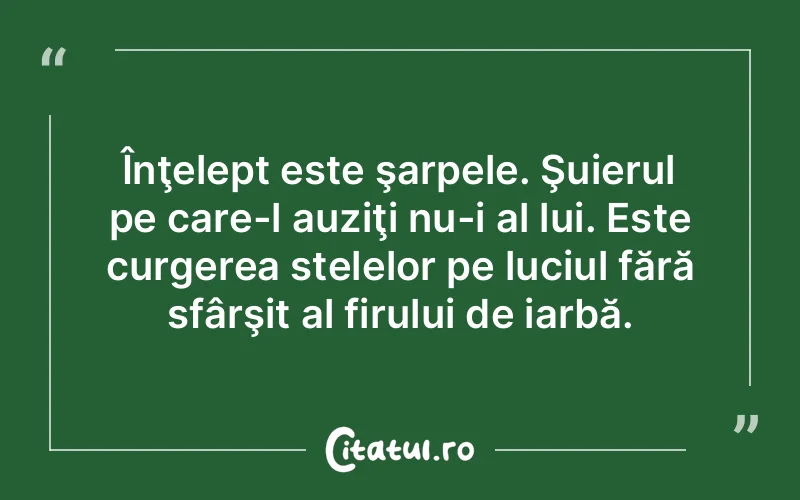 Citat Autor necunoscut - citate viata