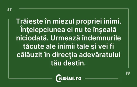 Înţelepciunea vine din experienţă, i...