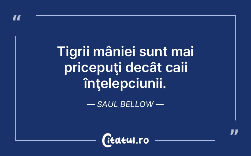 Citat Saul Bellow - citate viata
