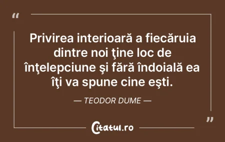 Furând cu mintea, eşti hoţ sau înţe... Furând cu mintea, eşti hoţ sau înţe...