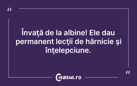 Înţelepciune. Să ne îndoim şi să n... Înţelepciune. Să ne îndoim şi să n...