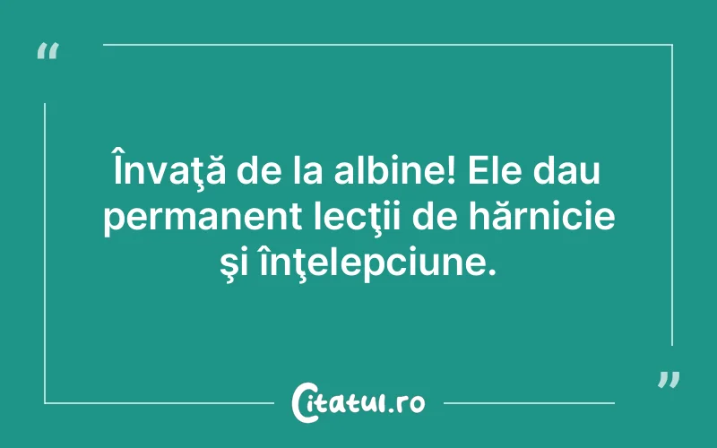 Citat Autor necunoscut - citate viata