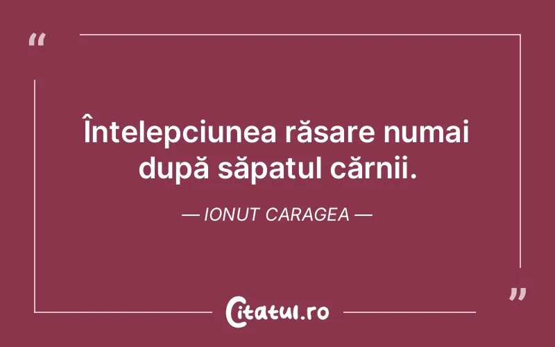 Citat Ionut Caragea - citate viata
