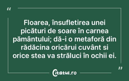 Chipul este oglinda mintii, iar ochii fa... Chipul este oglinda mintii, iar ochii fa...