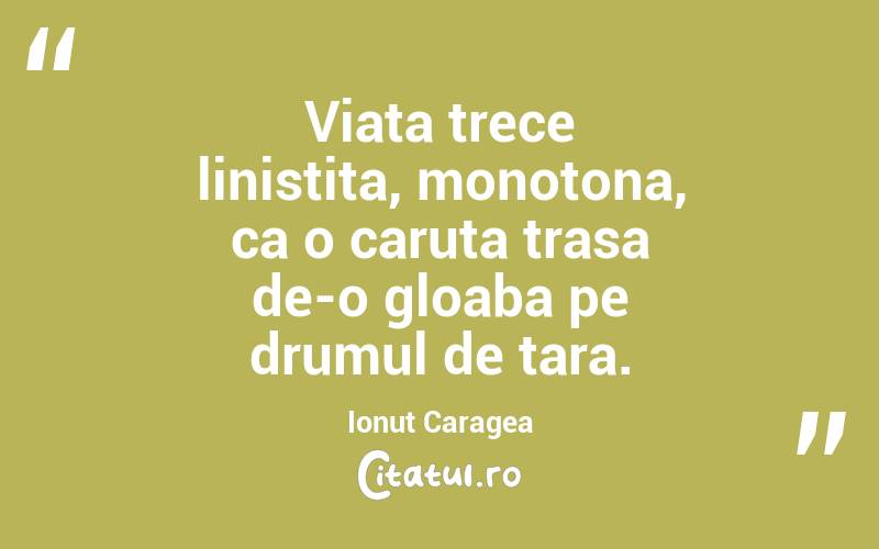 Viata trece linistita, monotona, ca o caruta trasa de-o gloaba pe drumul de tara. Ionuț Caragea