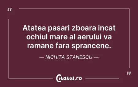 O idee este un ochi dat de D-zeu pentru ...