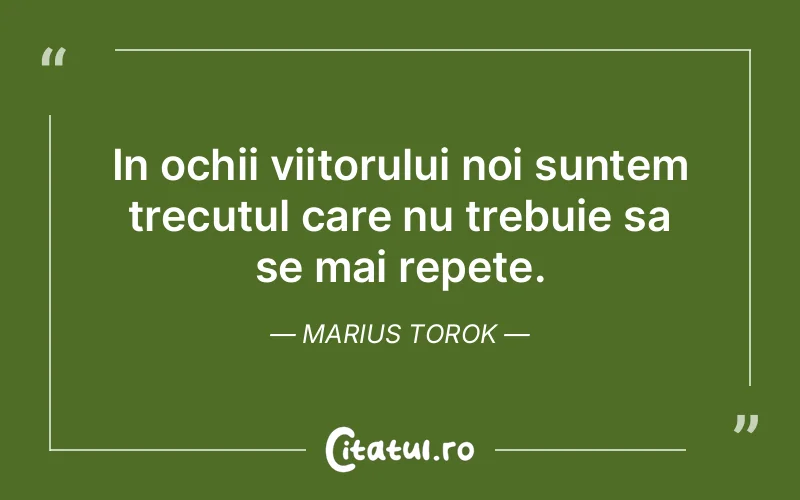 Citat Marius Torok - citate viata