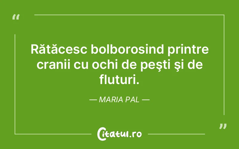 Rătăcesc bolborosind printre cranii cu ochi de peşti şi de fluturi. Maria Pal