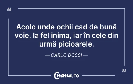 Nervul care nu se odihneşte, ochiul car...