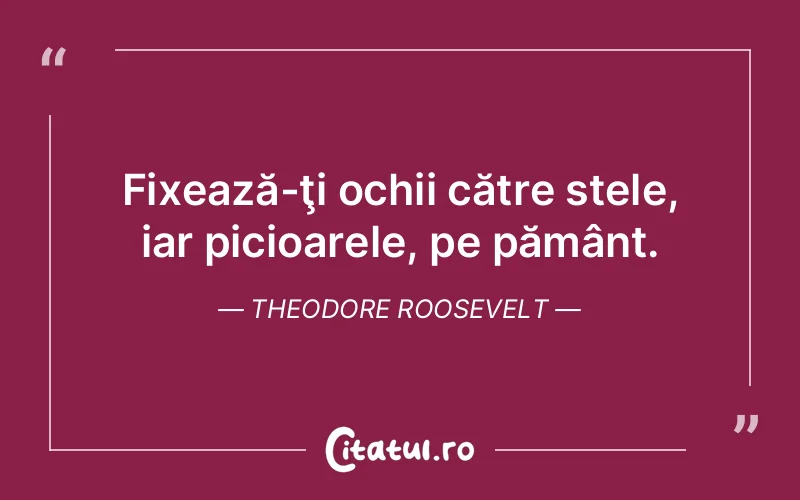 Fixează-ţi ochii către stele, iar picioarele, pe pământ. Theodore Roosevelt