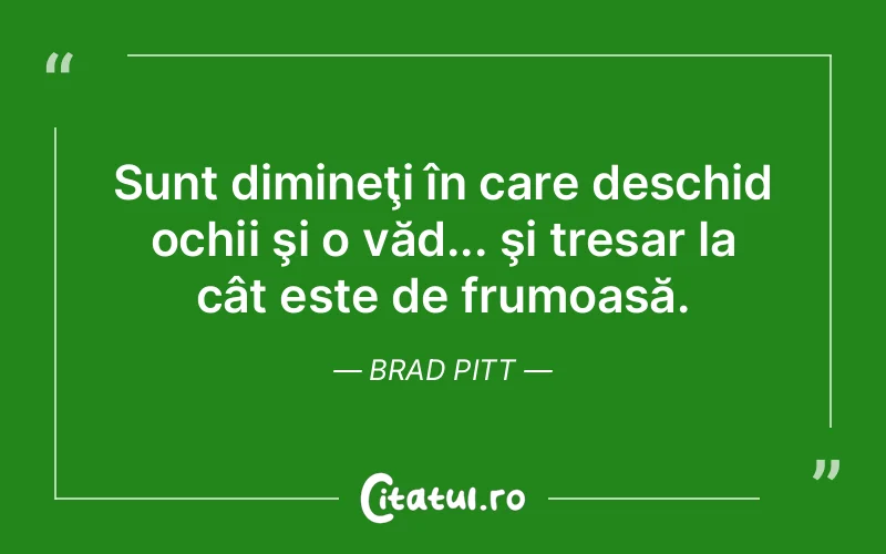 Citat Brad Pitt - citate viata