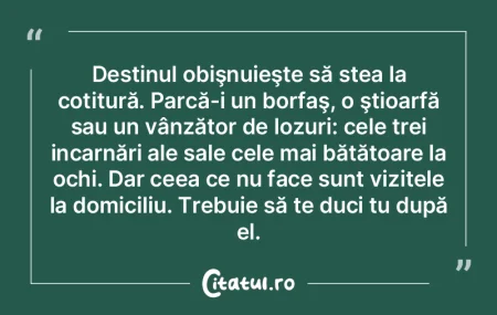 Nopţile în care dormim sunt ca şi cum... Nopţile în care dormim sunt ca şi cum...