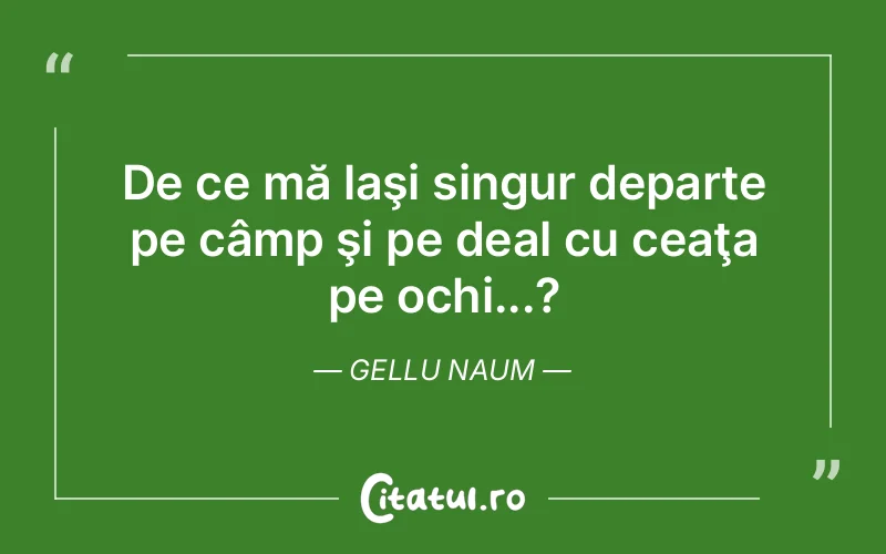 De ce mă laşi singur departe pe câmp şi pe deal cu ceaţa pe ochi...?	Gellu Naum