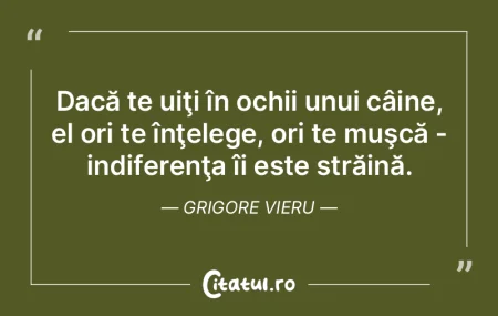 Dacă stai în beznă, nu poţi decât s... Dacă stai în beznă, nu poţi decât s...