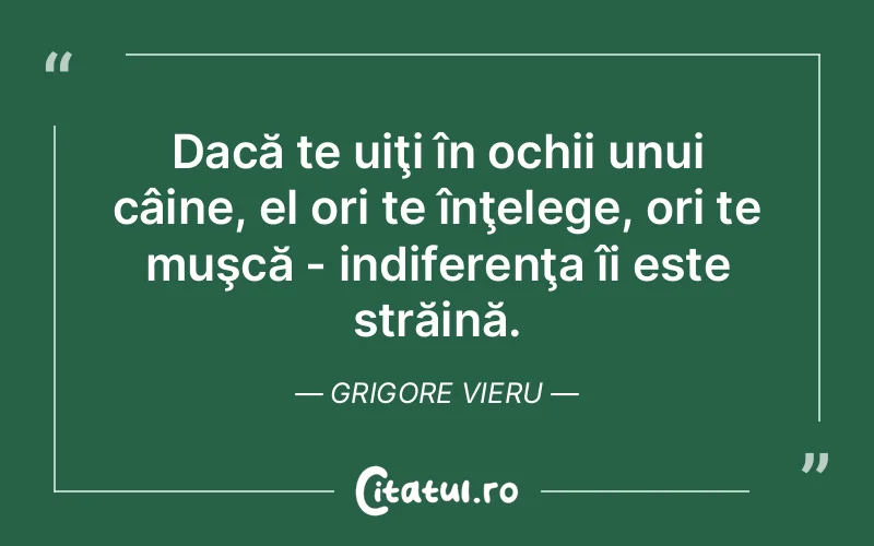 Citat Grigore Vieru - citate viata