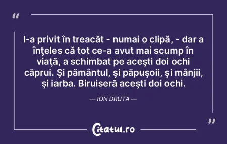 Conştiinţa - stima de sine privită pr... Conştiinţa - stima de sine privită pr...