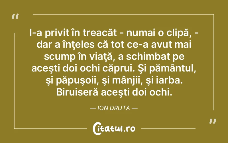 Citat Bir - citate viata