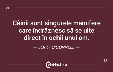 Purtat de ochi şi de închipuire, mă p... Purtat de ochi şi de închipuire, mă p...