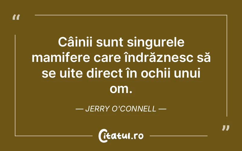 Citat Autor necunoscut - citate viata