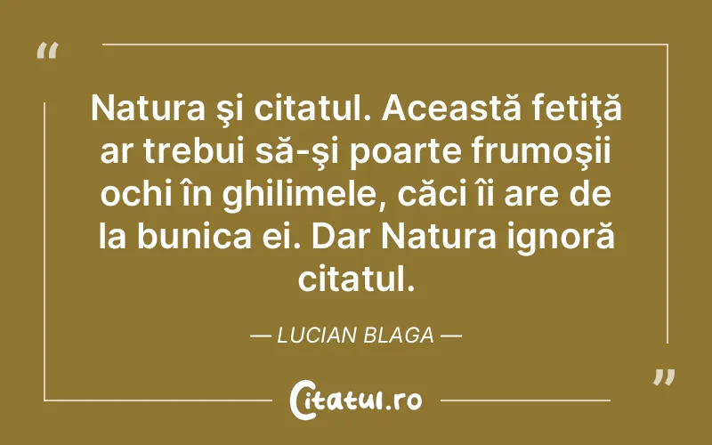 Natura şi citatul. Această fetiţă ar trebui să-şi poarte frumoşii ochi în ghilimele, căci îi are de la bunica ei. Dar Natura ignoră citatul. Lucian Blaga