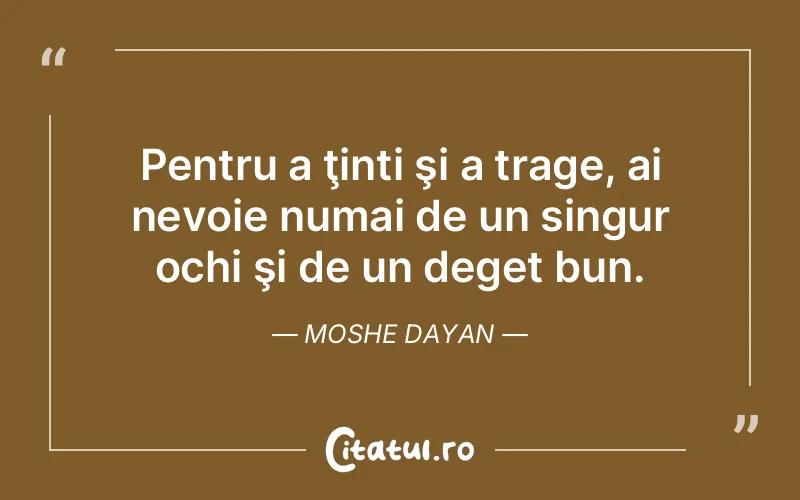Citat Moshe Dayan - citate viata