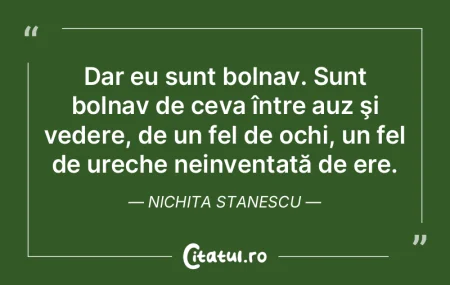Cu al treilea ochi văd doar poeţii. Ni... Cu al treilea ochi văd doar poeţii. Ni...