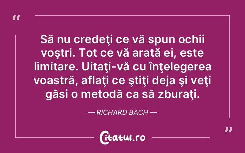 Citat Richard Bach - citate viata