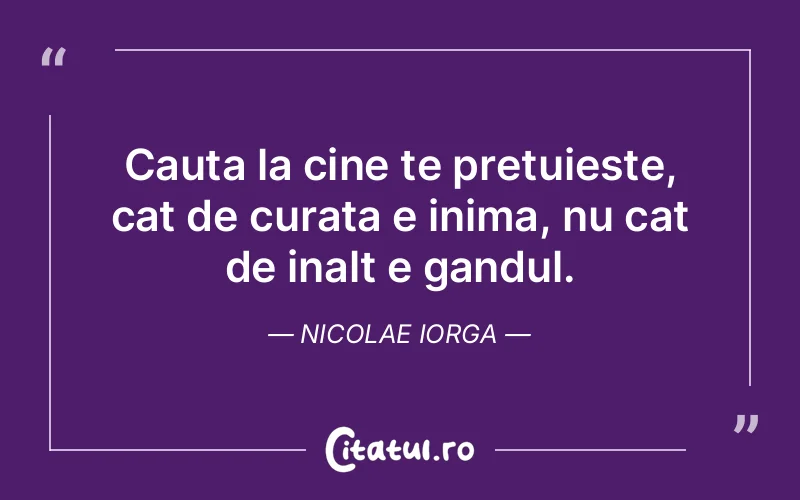 Citat Nicolae Iorga - citate viata