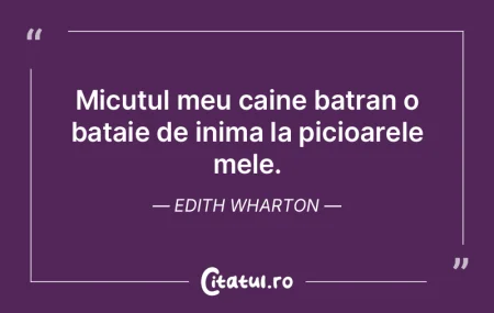 Raiul – mulţimea de inimi concentrice... Raiul – mulţimea de inimi concentrice...