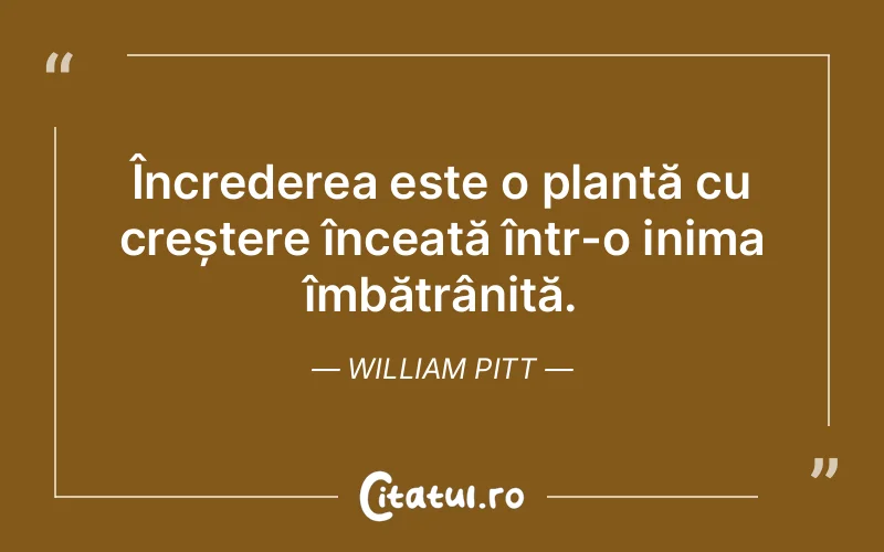 Citat William Pitt - citate viata