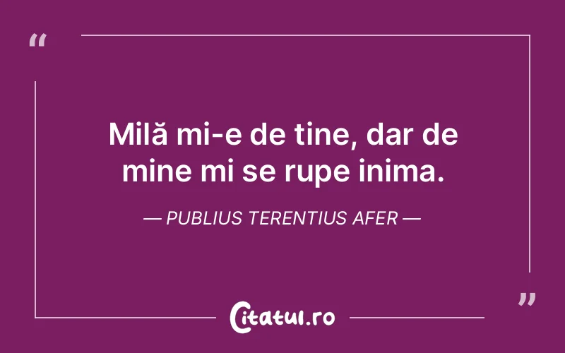 Citat Publius Terentius Afer - citate viata