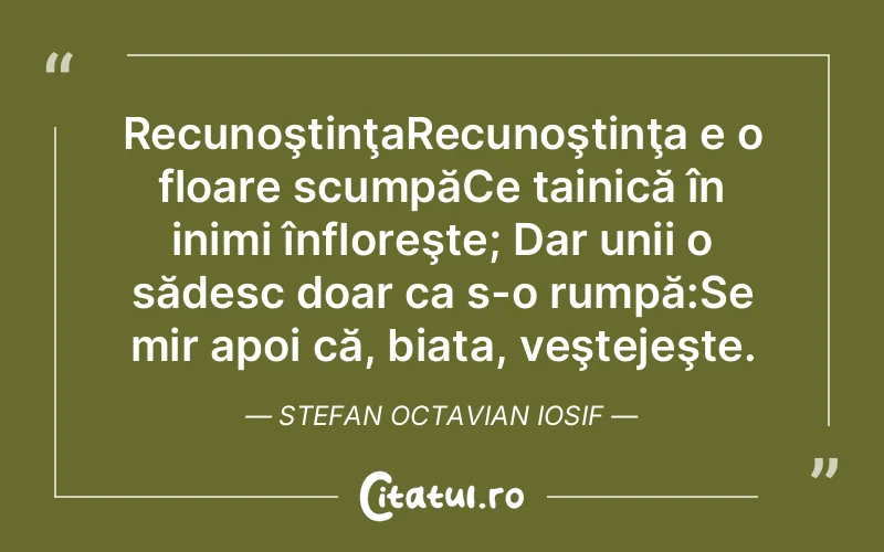 Citat Stefan Octavian Iosif - citate viata