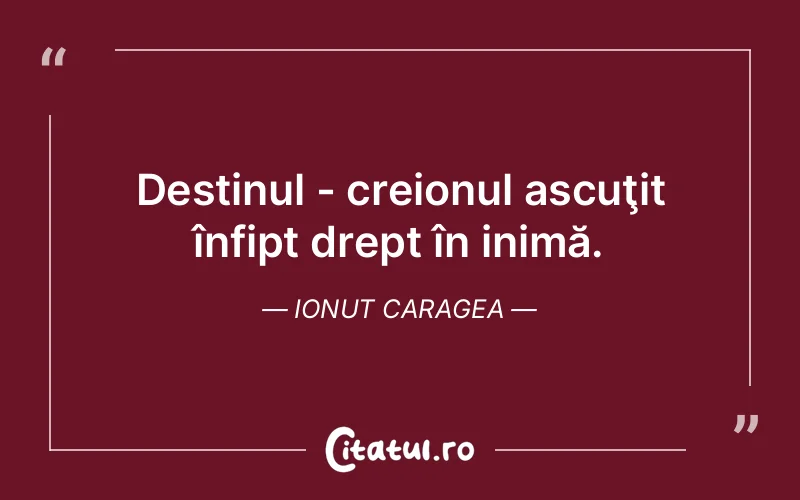 Citat Ionut Caragea - citate viata