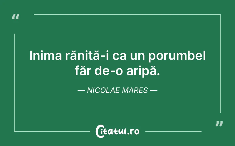 Citat Nicolae Mares - citate viata